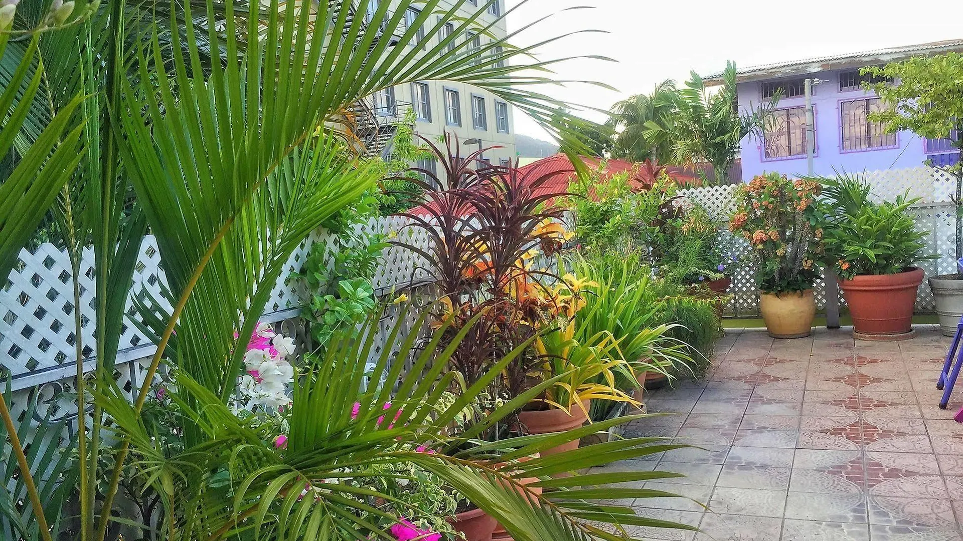 Forty Winks Inn Port of Spain