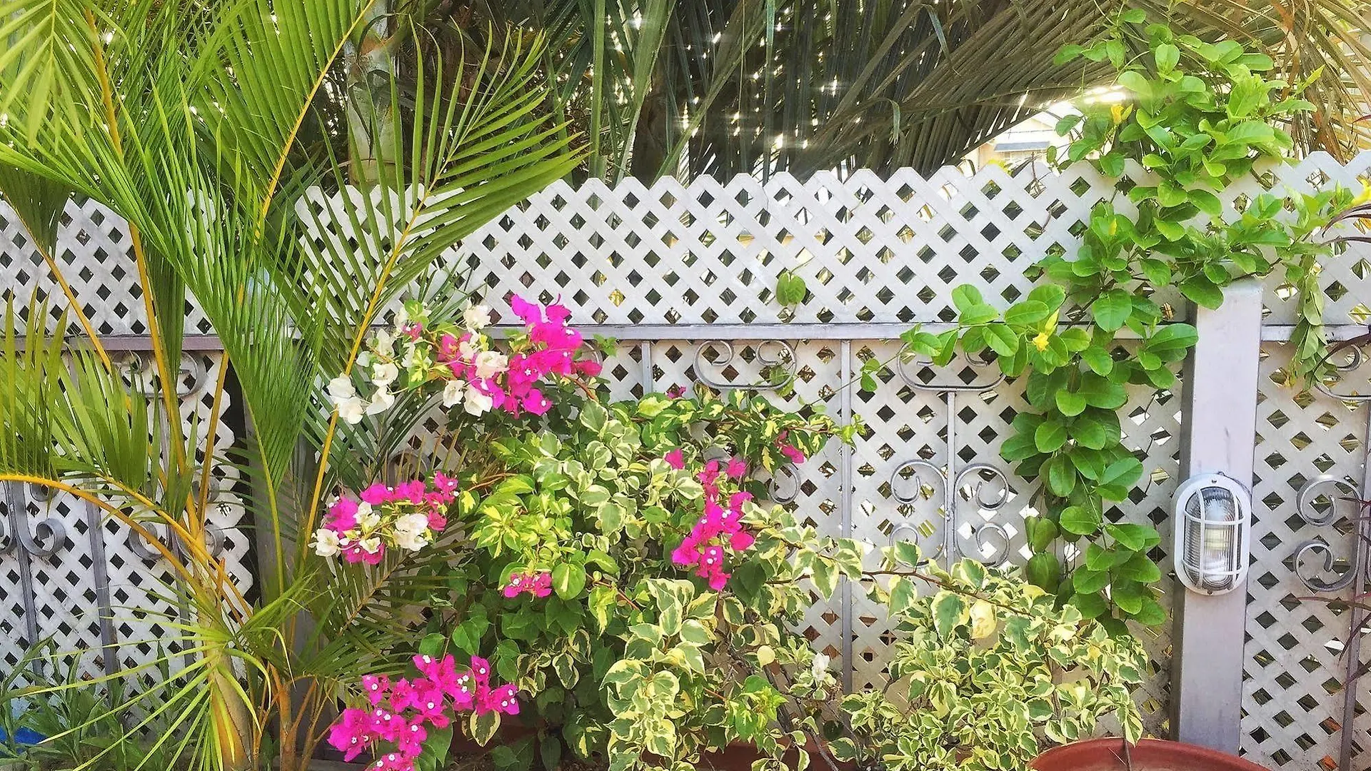 ***  Forty Winks Inn Port of Spain Trinidad e Tobago